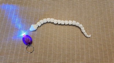 Glow in the Dark Fidget Snake with UV light